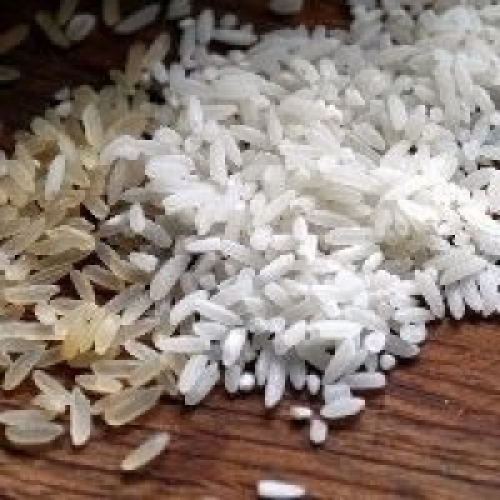 Novas métricas auxiliam melhoramento do arroz.