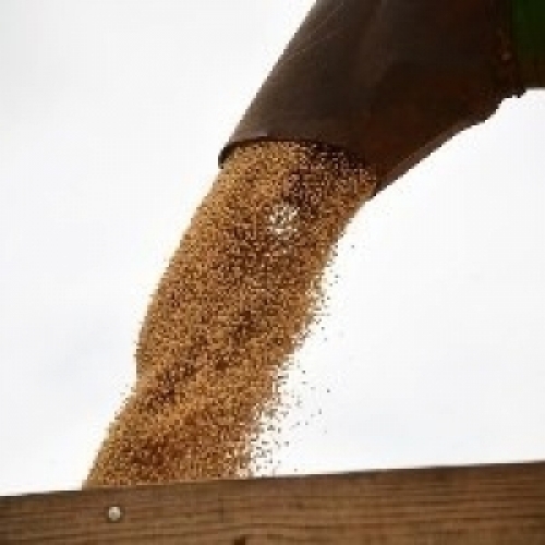 Brasil segue faturando com cenário da soja.