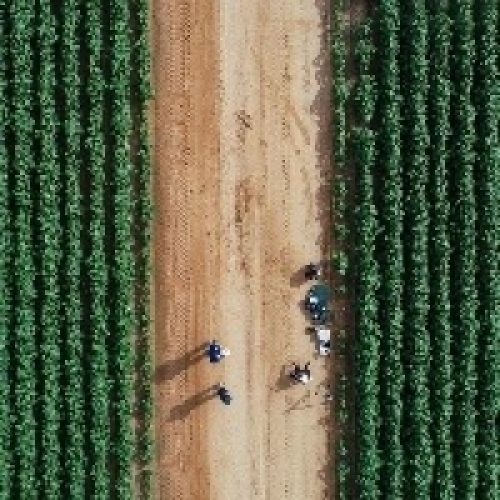 Como aumentar a performance agrícola com drones?